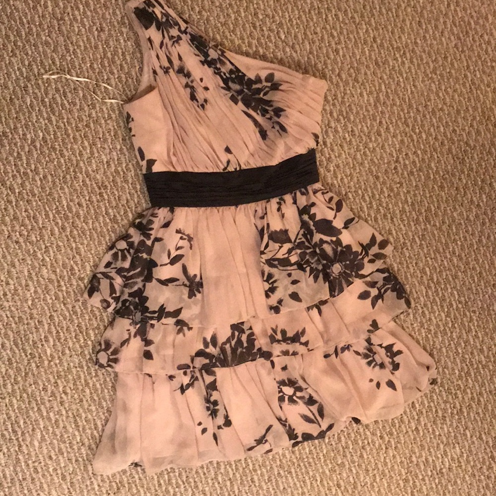 Max and Cleo Cocktail dress